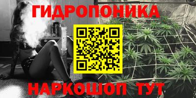 spice Жуковский