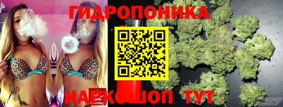 spice Жуковский