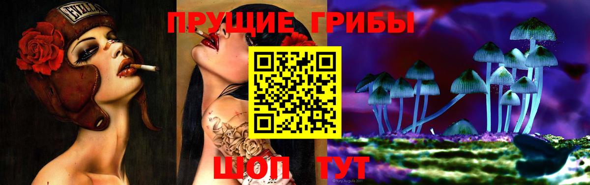 наркота  Галлюциногенные грибы ЛСД  Вход с VPN  Галлюциногенные грибы прущие грибы  Медногорск 